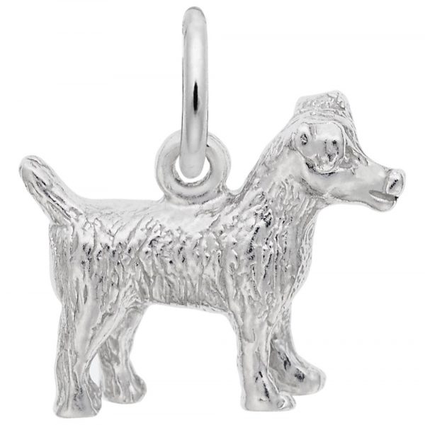 3351-Silver-Jack-Russell-Terrier-RC-600x601